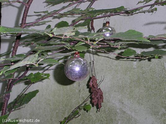 twg_slideshow