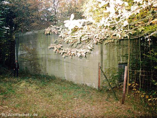 twg_slideshow